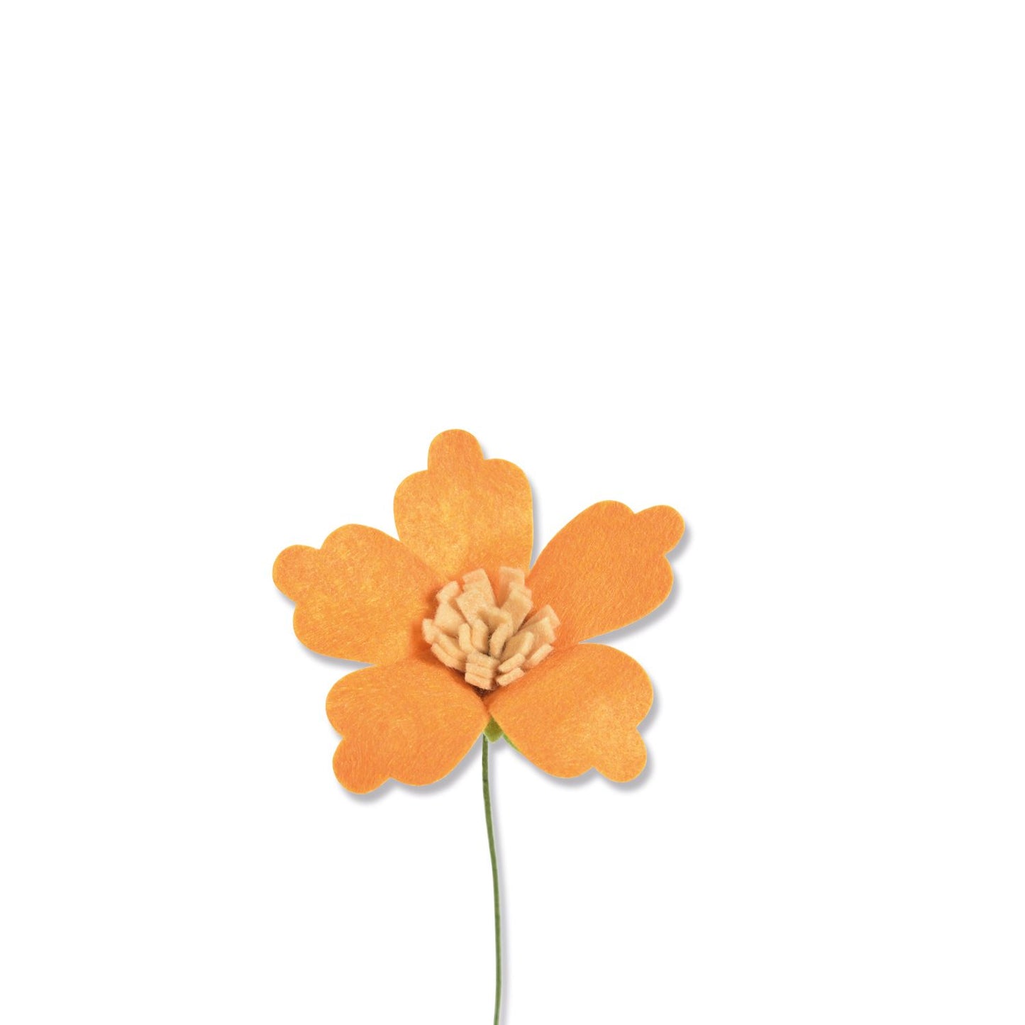 Sizzix All in Bloom Bigz L Die - 666256 ✂️