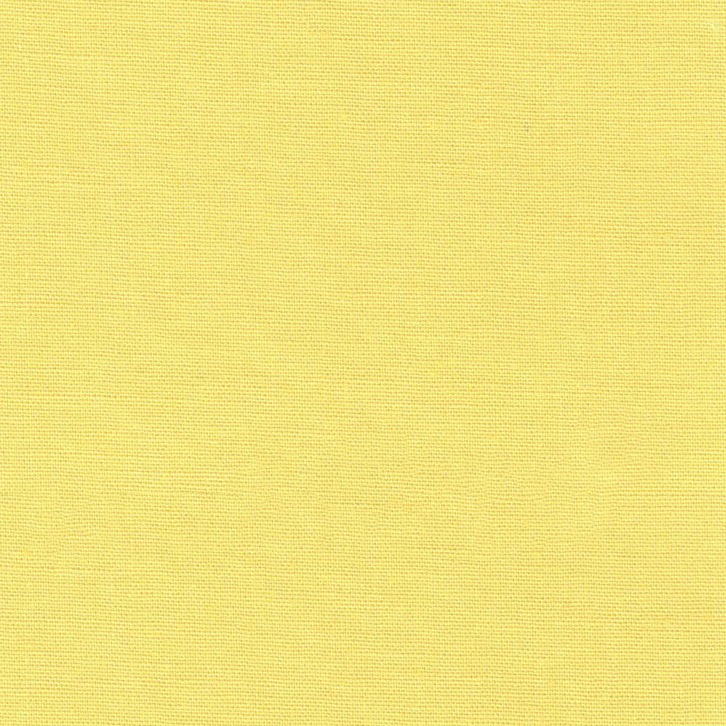 Daffodil Yellow Plain - Pop Solids - Dashwood Studio Cotton Fabric ✂️ £9 pm