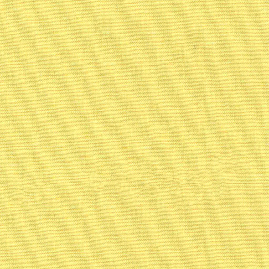 Daffodil Yellow Plain - Pop Solids - Dashwood Studio Cotton Fabric ✂️ £9 pm