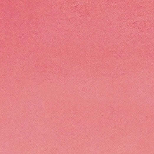 Paris Pink Cuddle Soft 150cm wide - Solid Cuddle® 3 - Shannon Fabrics Cotton Fabric ✂️ £22 pm