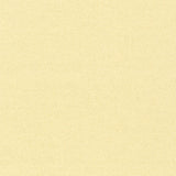 Egg Shell - Kona Sheen - Robert Kaufman Cotton Fabric ✂️