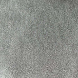 Silver Leathered Effect Metallic Felt