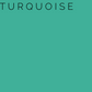 Turquoise Self Adhesive Glossy Vinyl - Sign Vinyl Oracle 651